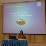 ภาพประกอบเว็บไซต์