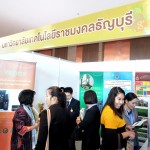 ภาพประกอบเว็บไซต์